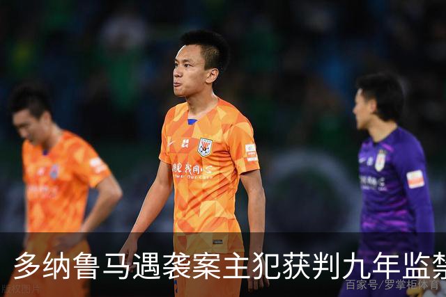 多纳鲁马遇袭案主犯获判九年监禁，暴力犯罪再现